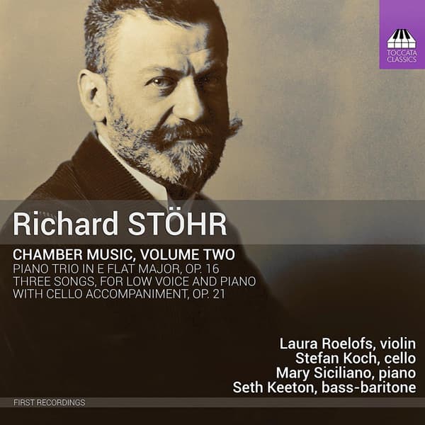 Stoehr Richard: Kammermusik bind 2 (CD)