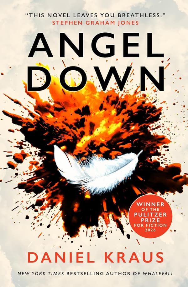 Angel Down (Kirja / Pokkari)