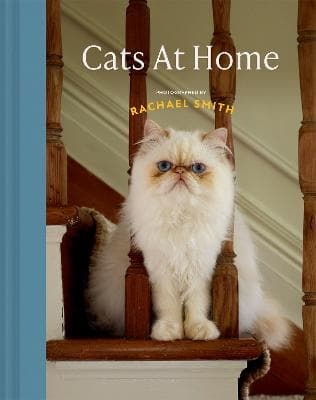 Cats At Home (Kirja / Kovakantinen)
