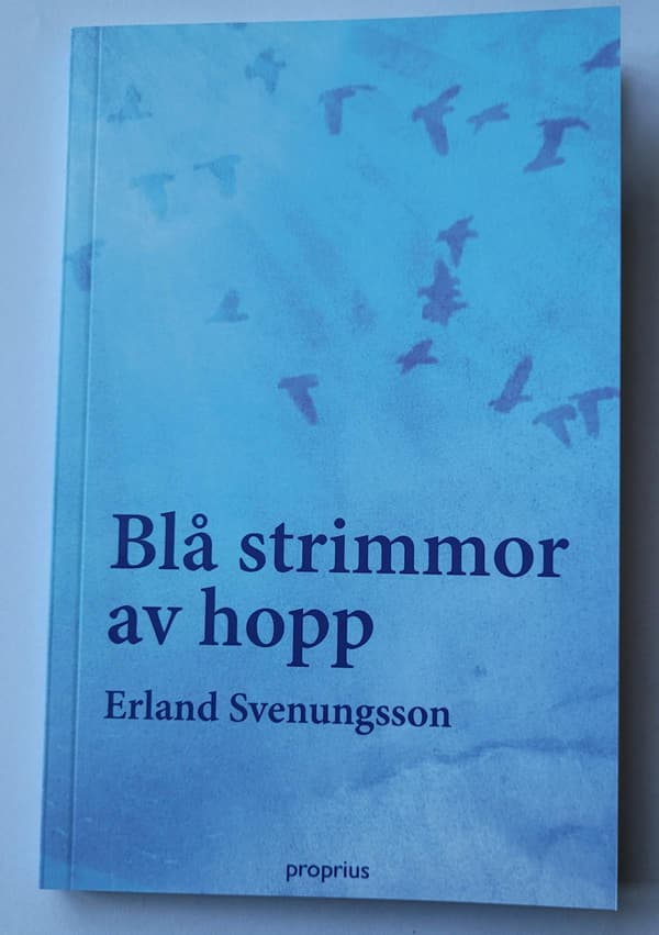 Blå Strimmor Av Hopp (Bok / Häftad)