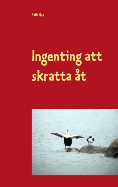 Ingenting Att Skratta Åt (Bok / Häftad)