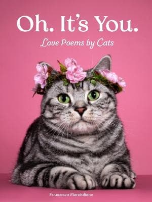 Oh. It's You. (Bok / Inbunden)