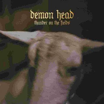 Demon Head: Thunder on the fields (Gold) (Vinyyli LP)