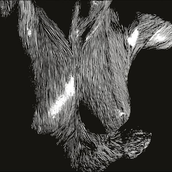 Oceansize: Self-Preserved While the Bodies (3 vinyyli-LP)