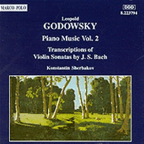Godowsky: Pianomusiikkia Vol 2 (CD)