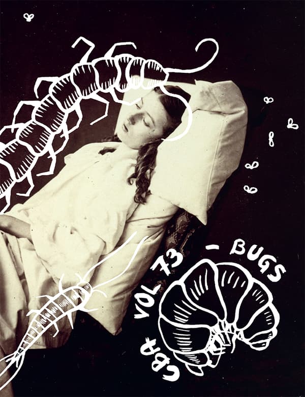 Cba Vol 73 - Bugs (Kirja / Nidottu)