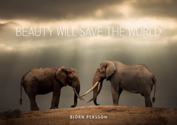 Beauty Will Save the World (Kirja / Kovakantinen)