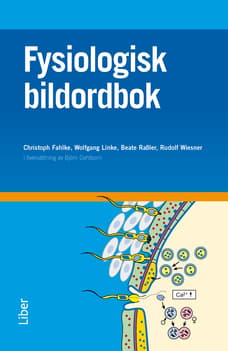 Fysiologisk Bildordbok (Bok / Häftad)