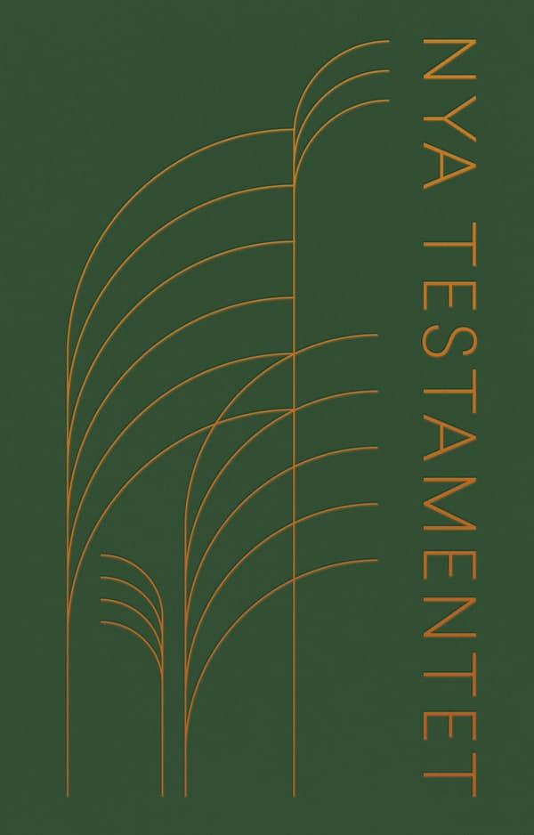 Nya Testamentet 2026 Flexband Mörkgrön (Bok / Flexband)