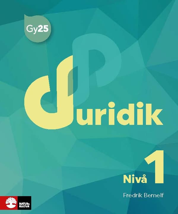 Juridik Nivå 1 (Bok / Häftad)