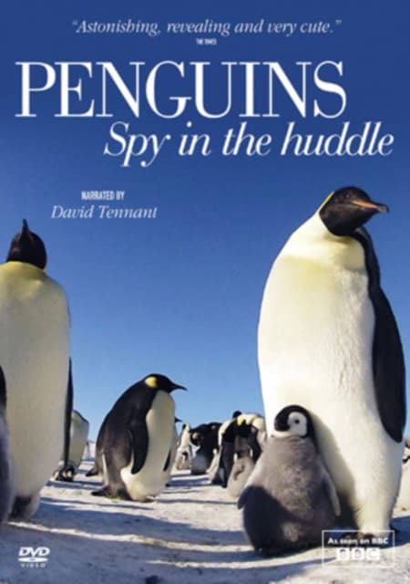 Penguins: Spy in the Huddle (DVD)