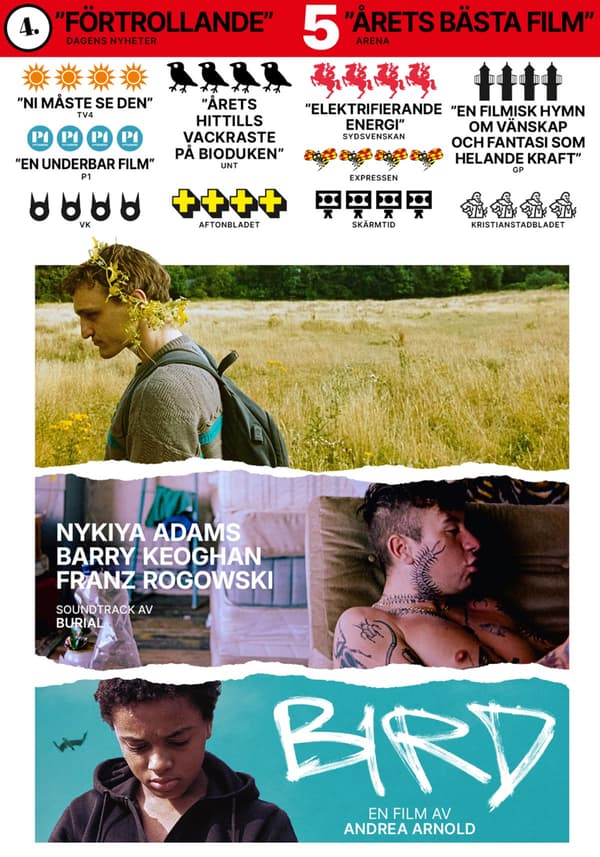 Bird (DVD)