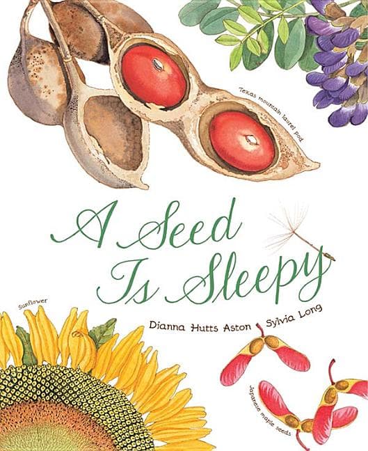 Seed is Sleepy (Bok / Häftad)