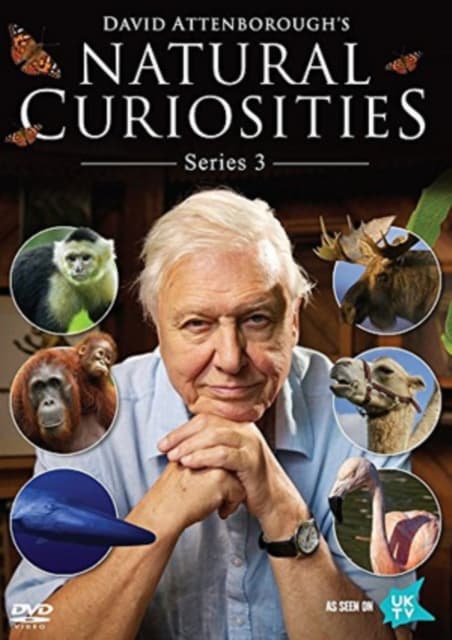 David Attenborough's Natural Curiosities: Serie (DVD)