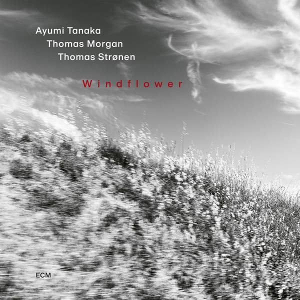Tanaka Ayumi; Thomas Morgan; Thomas: Windflower (CD)