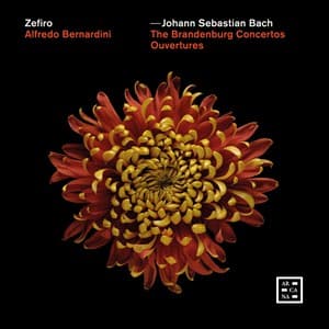 Bach: Brandenburg Koncerter / Ouverturer (3 CD)