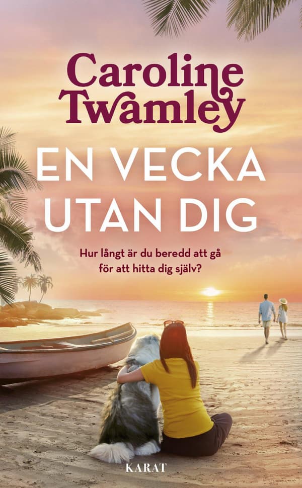 En Vecka Utan Dig (Bok / Pocket)