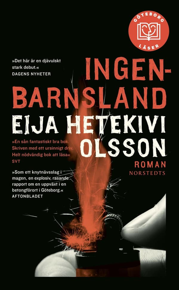 Ingenbarnsland (Kirja / Pokkari)