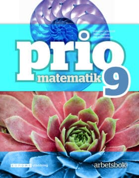 Prio Matematik 9 Arbetsbok (Bok / Häftad)