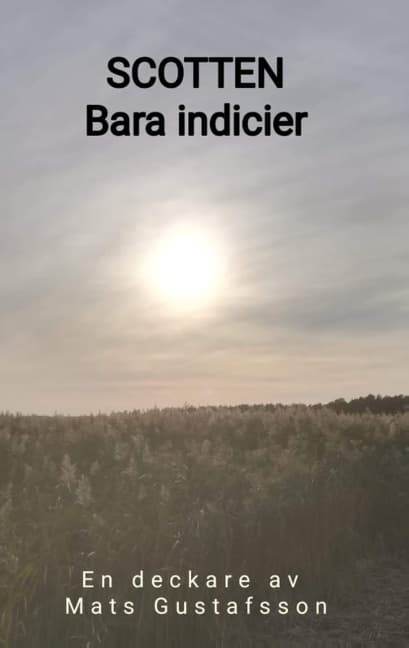 Bara Indicier (Kirja / Nidottu)