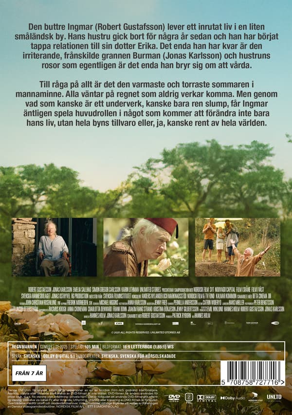Regnmannen (DVD)