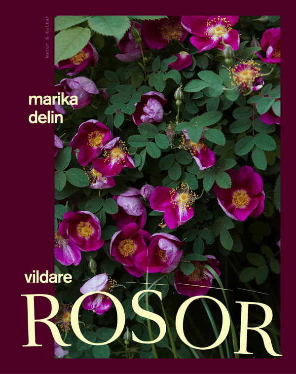 Vildare Rosor (Bok / Inbunden)