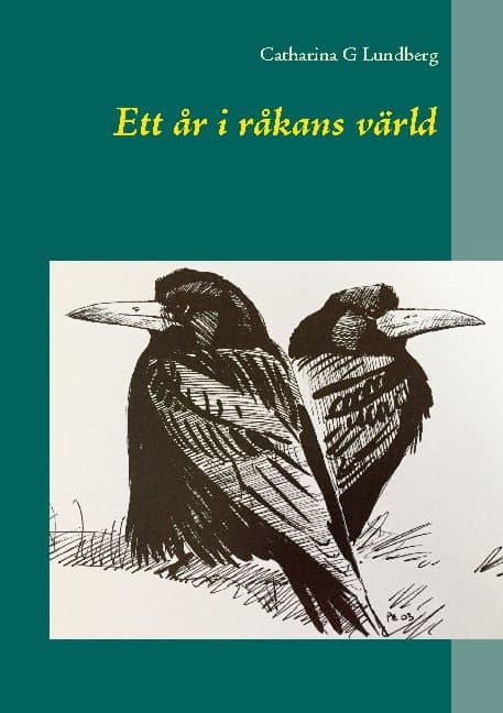Ett År I Råkans Värld (Bok / Häftad)