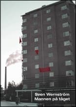 Mies Junassa (Kirja / Nidottu)