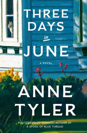 Three Days In June (Bok / Pocket)