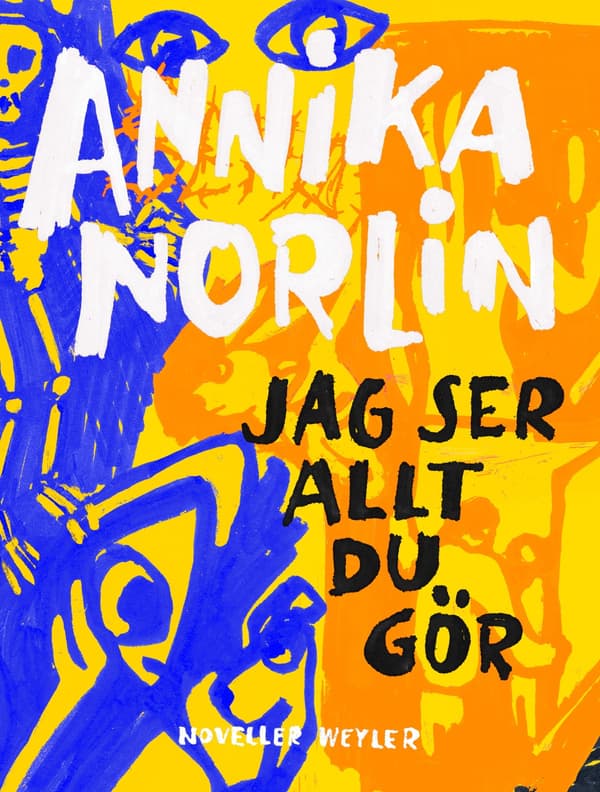 Jag Ser Allt Du Gör (Bok / Inbunden)