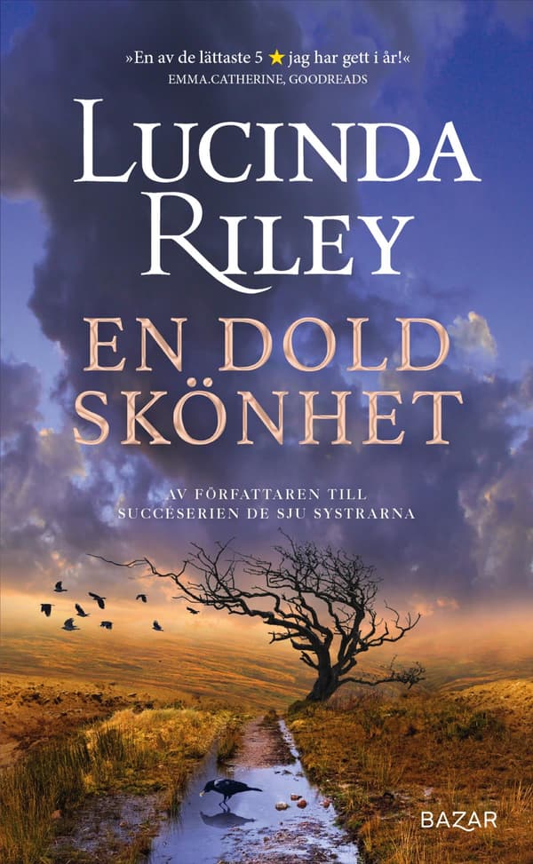 En Dold Skönhet (Bok / Pocket)