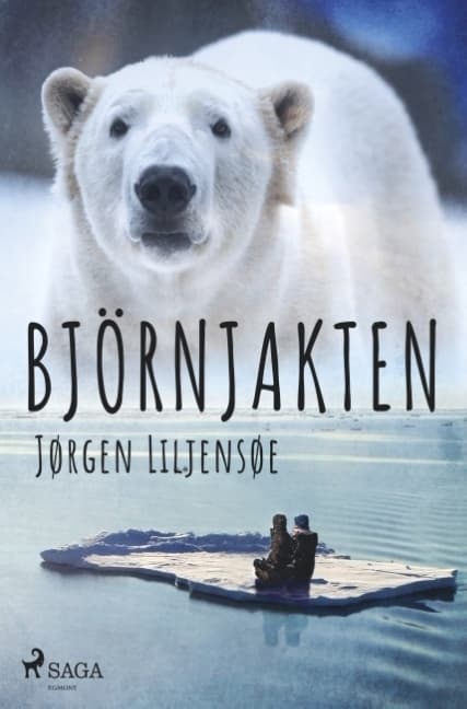 Björnjakten (Bok / Häftad)
