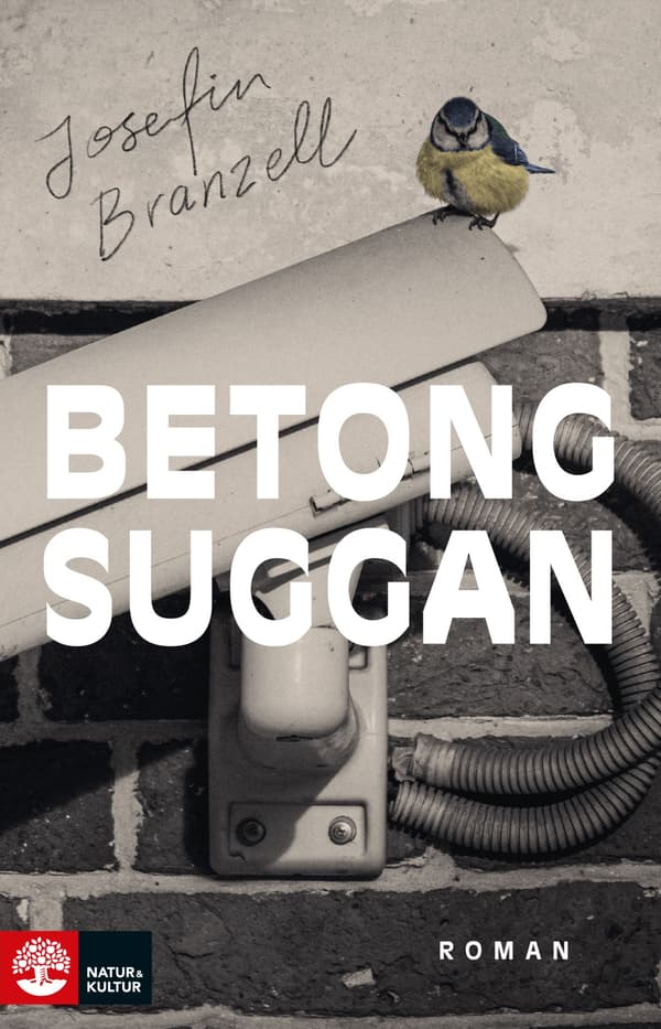 Betongsuggan (Kirja / Kovakantinen)