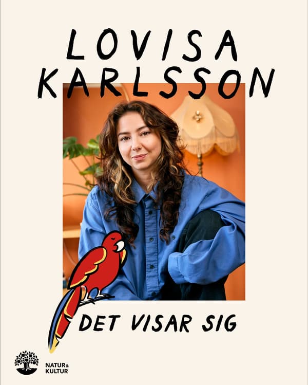 Det Visar Sig (Kirja / Kovakantinen)