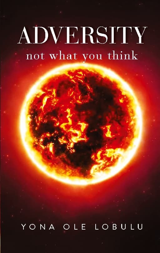 Adversity - Not What You Think (Bok / Häftad)