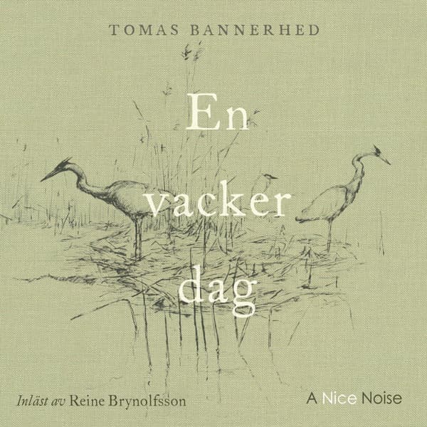 En Vacker Dag (Ljudbok / CD)