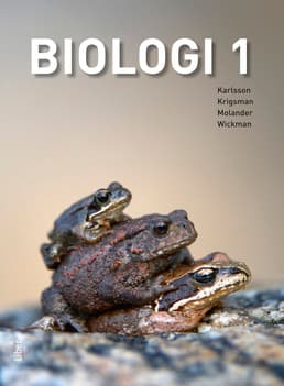 Biologia 1 (Kirja / Nidottu)