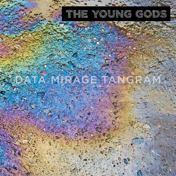 Young Gods: Data Mirage Tangram (2 Vinyl LP)