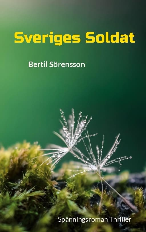 Sveriges Soldat (Bok / Häftad)
