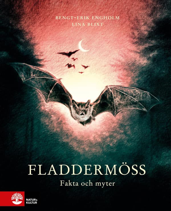 Fladdermöss - Fakta Och Myter (Bok / Inbunden)
