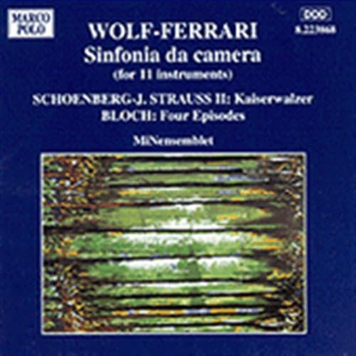 Wolf Hugo: Sinfonia Da Camera (CD)