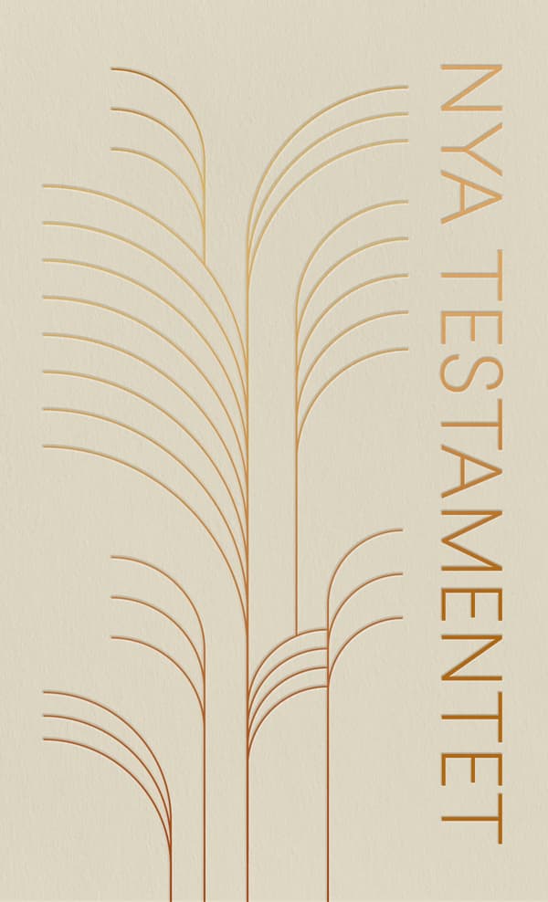 Nya Testamentet 2026 Mjukband (Bok / Häftad)