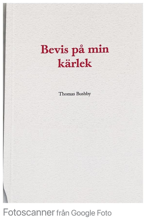 Bevis På Min Kärlek (Bok / Häftad)