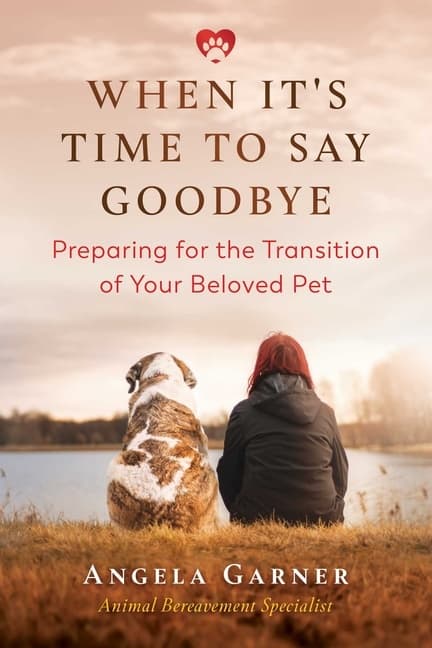 When It's Time to Say Goodbye (Kirja / Nidottu)