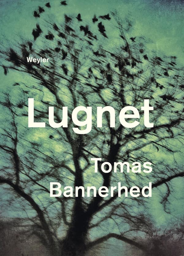 Lugnet (Kirja / Pokkari)