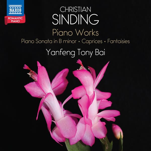 Sinding Christian: Pianoteokset (CD)