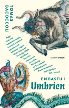 En Bastu I Umbrien (Bok / Pocket)