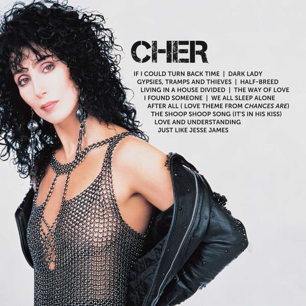 Cher: Icon 1971-91 (Gr hits) (CD)