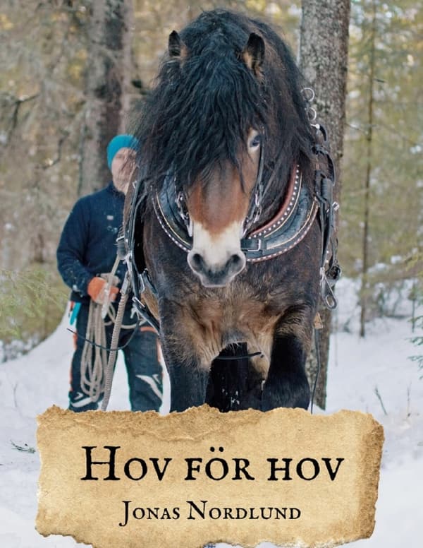 Hov För Hov (Kirja / Sidottu)