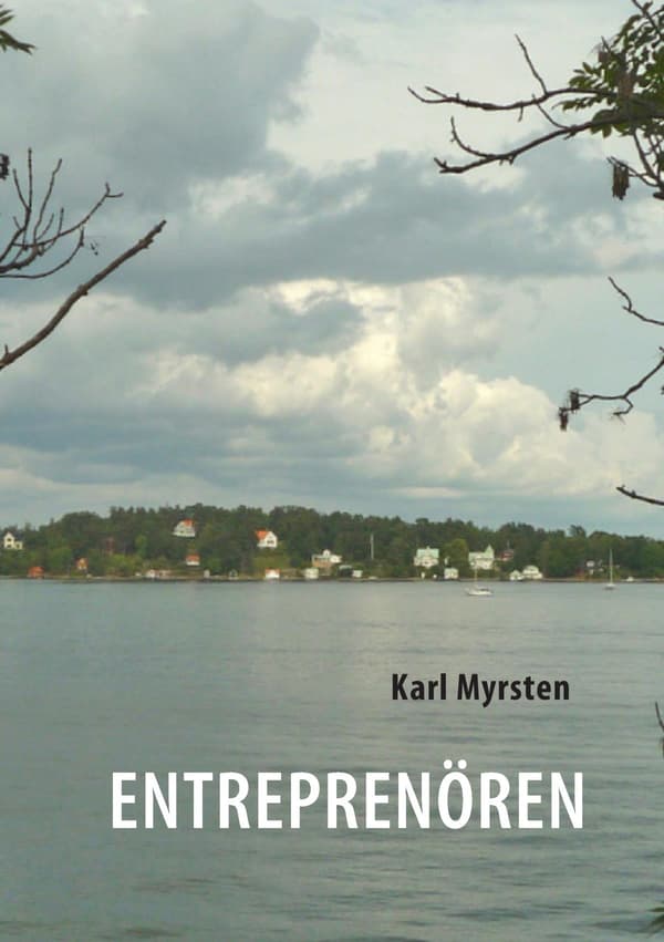 Entrepenören (Bok / Häftad)